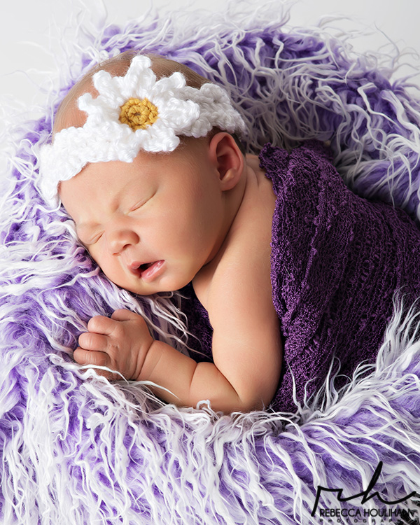 studio newborn photographer lansing michigan