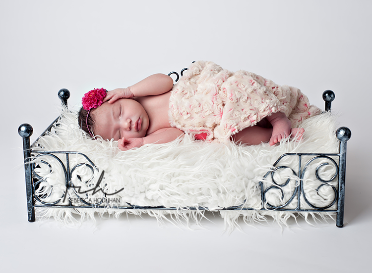 newborn pictures photography holt Michigan